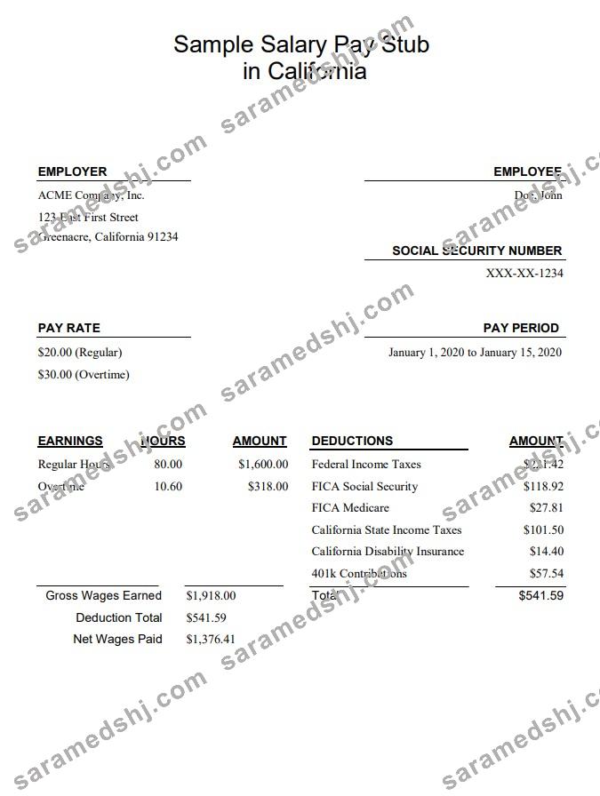 California salary pay stub Word and PDF template